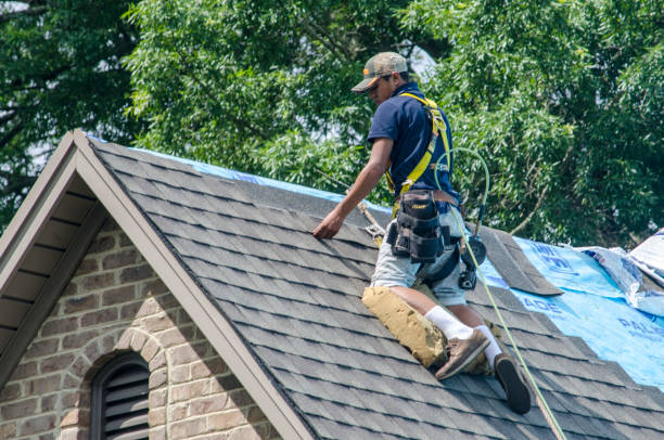 Quick and Trustworthy Emergency Roof Repair Services in New Castle, DE